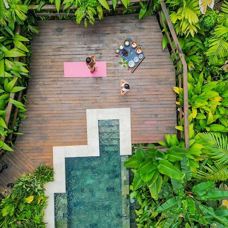 Chachagua Rainforest Hotel & Hot Springs La Fortuna Exterior foto