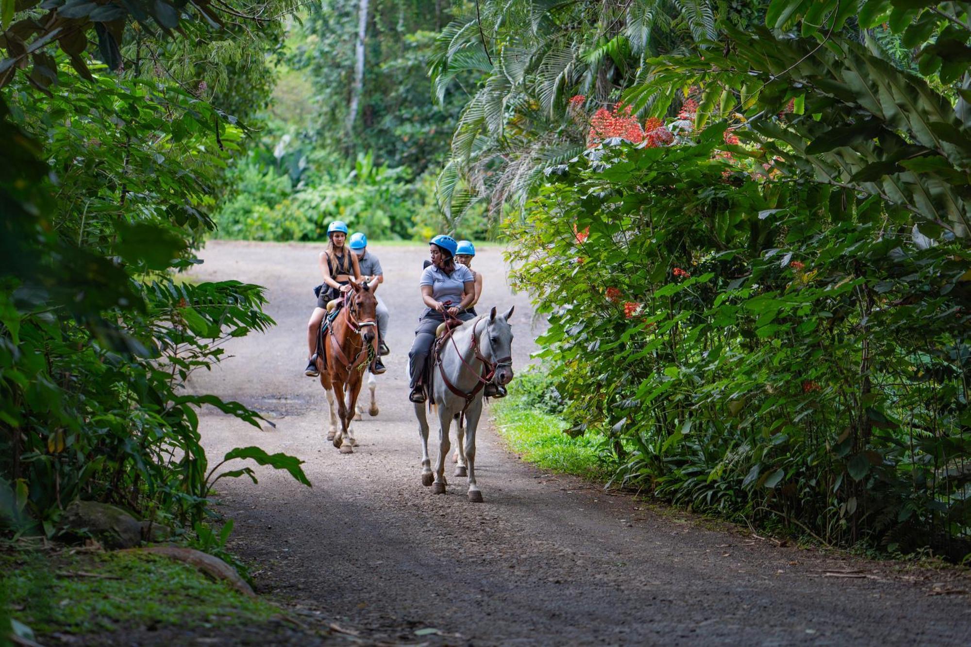 Chachagua Rainforest Hotel & Hot Springs La Fortuna Exterior foto